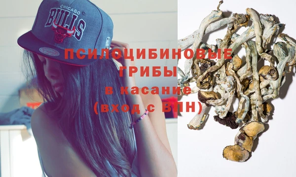 МДПВ Армянск