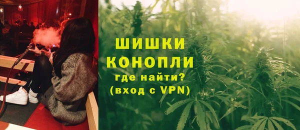 гидра Арсеньев