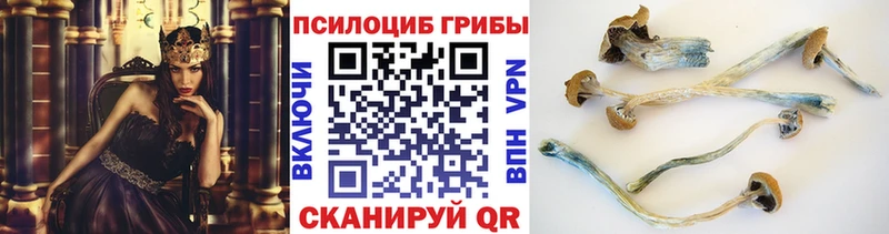 Галлюциногенные грибы MAGIC MUSHROOMS  Козьмодемьянск 